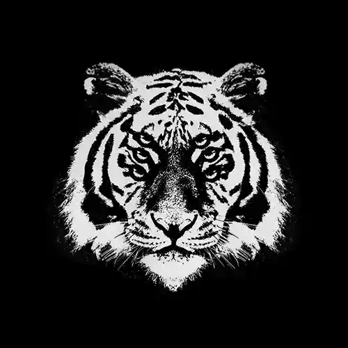 royal blood - ten over ten (single, 2026)